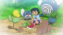 Diglett