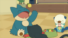 Munchlax