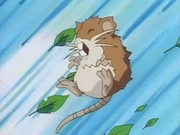 EP052 Raticate.png
