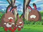 Sentret
