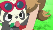 EP854 Pancham sacando la lengua.png