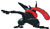 Imagen posterior de Greninja variocolor en Pokémon X, Pokémon Y, Pokémon Rubí Omega, Pokémon Zafiro Alfa, Pokémon Sol, Pokémon Luna, Pokémon Ultrasol y Pokémon Ultraluna