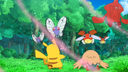 EP961 Butterfree y Ledyba.png