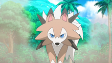 Lycanroc