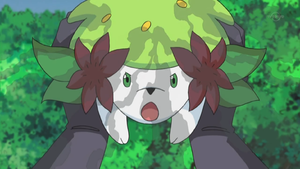 Shaymin usando Semilla Bengala/Fogonazo. Absorbe aire contaminado...