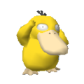 Psyduck