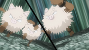 EP1289 Primeape.png