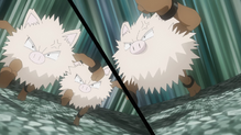 Primeape