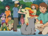 Ponyta