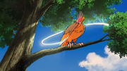 P09 Fearow.png