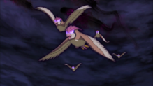 Imagen de Pidgeotto