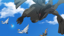 Zekrom