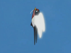 Taillow usando ataque de ala/ataque ala.