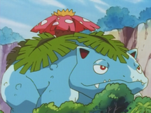 Venusaur mecánico.