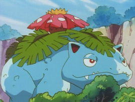 Venusaur Gigante.