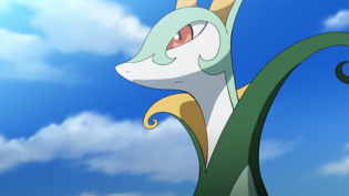 Imagen de Serperior