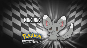 Minccino en el segmento "¿Quién es ese Pokémon?/¿Cuál es este Pokémon?".