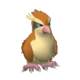 Pidgey