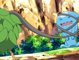 Burmy envolviendo a Wobbuffet.