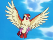 Pidgey