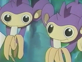 Aipom