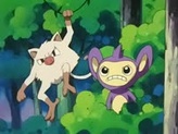 Aipom