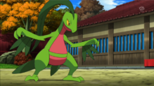 Grovyle