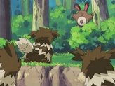Sentret
