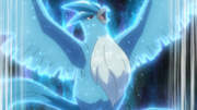 EP1191 Articuno.png
