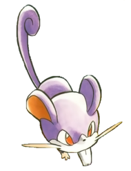 Ilustración de Ratty (cuando era un Rattata)